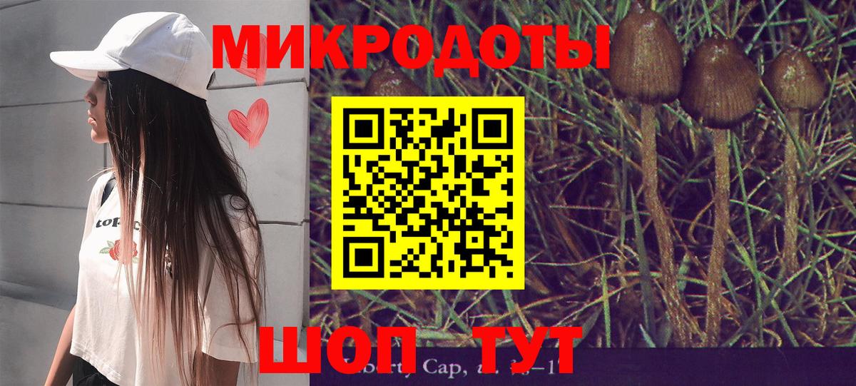 Псилоцибиновые грибы Cubensis Егорьевск