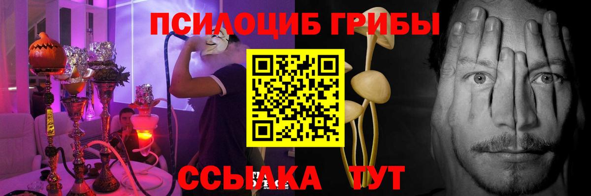 Галлюциногенные грибы Psilocybe  Вход с VPN  Егорьевск 